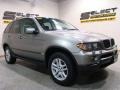 Sterling Grey Metallic - X5 3.0i Photo No. 3