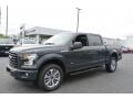 Lithium Gray - F150 XL SuperCrew 4x4 Photo No. 3