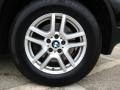 2006 Jet Black BMW X5 3.0i  photo #10