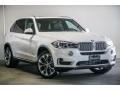 Alpine White - X5 sDrive35i Photo No. 12