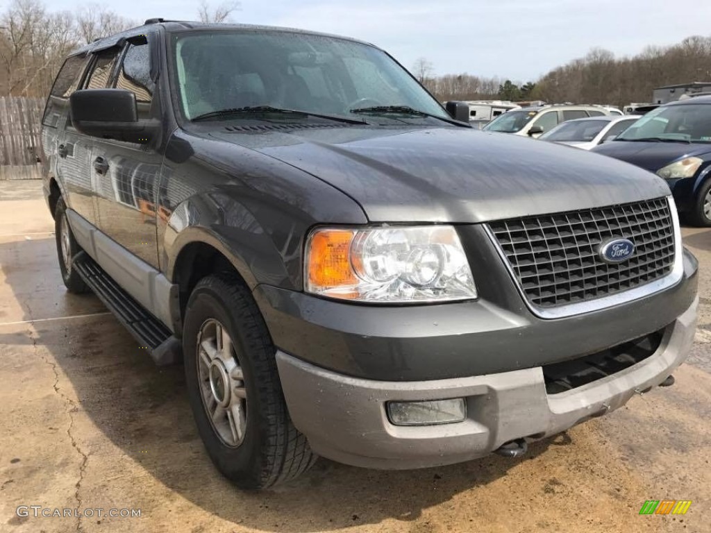 2003 Expedition XLT 4x4 - Dark Shadow Grey Metallic / Flint Grey photo #10