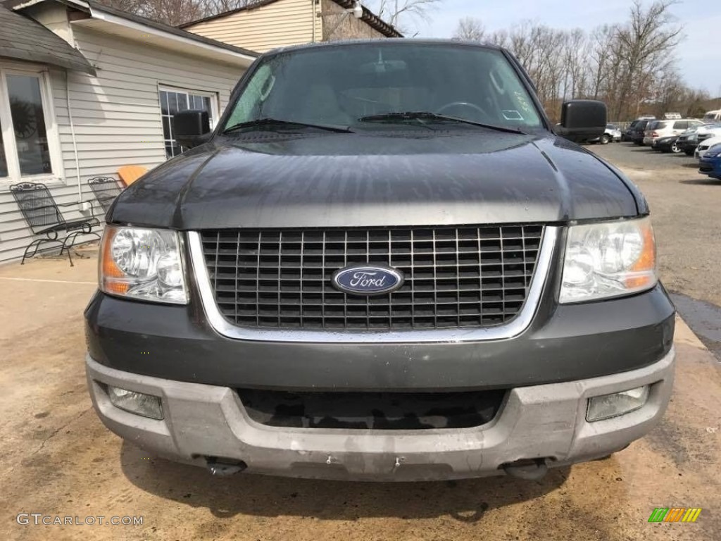 2003 Expedition XLT 4x4 - Dark Shadow Grey Metallic / Flint Grey photo #11