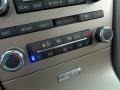 Light Stone Controls Photo for 2010 Lincoln MKT #119912701