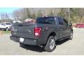 Lithium Gray - F150 XL SuperCrew 4x4 Photo No. 7