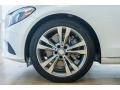 Polar White - C 300 Sedan Photo No. 10