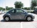 Platinum Grey - New Beetle 2.5 Coupe Photo No. 6
