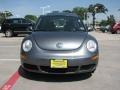 Platinum Grey - New Beetle 2.5 Coupe Photo No. 8