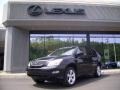 Black Onyx - RX 330 AWD Photo No. 1