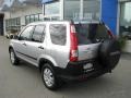 2007 Whistler Silver Metallic Honda CR-V EX 4WD  photo #4