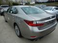 Atomic Silver - ES 350 Photo No. 3