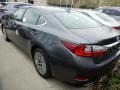 Nebula Gray Pearl - ES 350 Photo No. 3