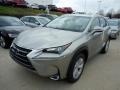 Atomic Silver - NX 200t AWD Photo No. 1