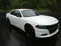 White Knuckle - Charger SE Photo No. 4