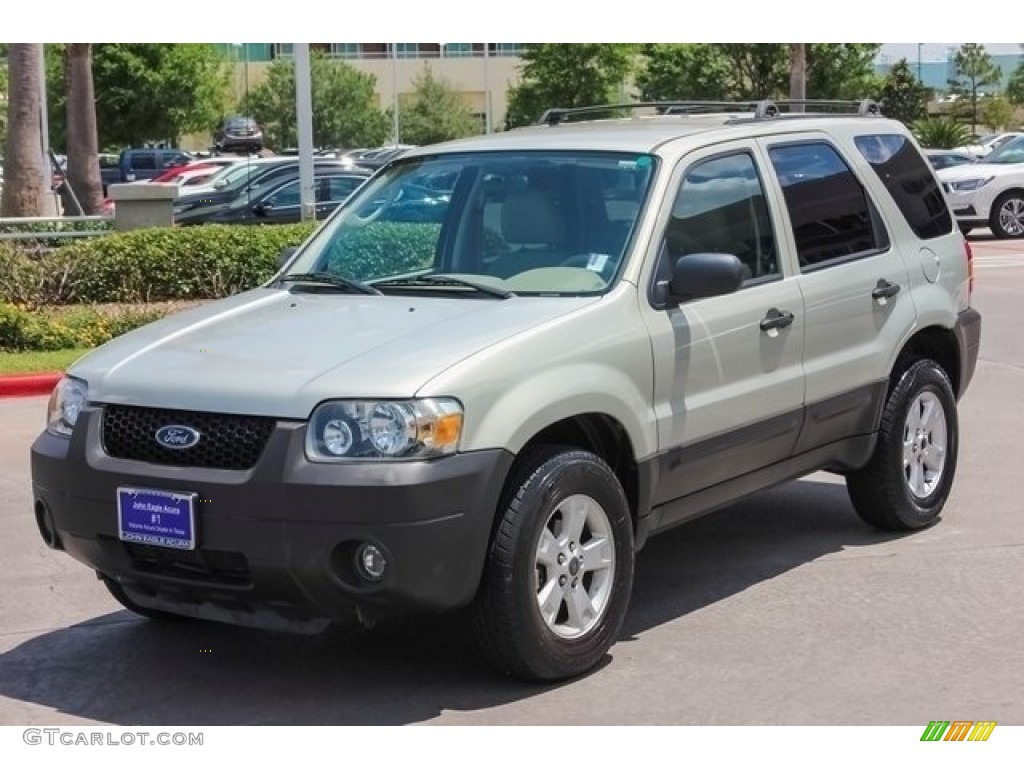 2006 Escape XLT V6 - Gold Ash Metallic / Medium/Dark Pebble photo #3
