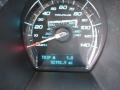 2010 Steel Blue Metallic Ford Taurus SEL  photo #20