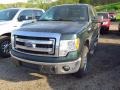 Green Gem Metallic - F150 XLT SuperCrew 4x4 Photo No. 3