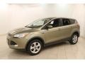 JY - Ginger Ale Metallic Ford Escape (2013)
