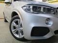 Mineral Silver Metallic - X5 xDrive35i Photo No. 7