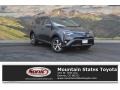 2017 Magnetic Gray Metallic Toyota RAV4 XLE  photo #1