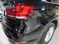 Jet Black - X5 xDrive35i Photo No. 9