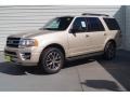 White Gold 2017 Ford Expedition XLT Exterior