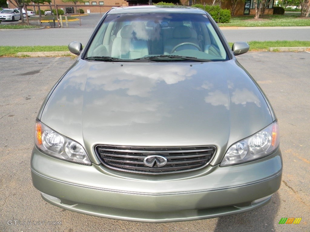 2003 I 35 - Millennium Jade Green / Willow photo #5