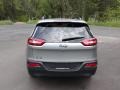 Billet Silver Metallic - Cherokee Sport Photo No. 7