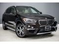Sparkling Brown Metallic 2017 BMW X1 sDrive28i Exterior