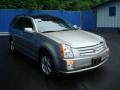 Light Platinum - SRX 4 V6 AWD Photo No. 6