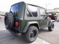 2004 Shale Green Metallic Jeep Wrangler X 4x4  photo #5