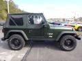 2004 Shale Green Metallic Jeep Wrangler X 4x4  photo #6