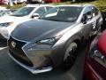 Nebula Gray Pearl - NX 200t F Sport AWD Photo No. 1