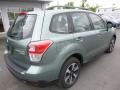 Jasmine Green Metallic - Forester 2.5i Photo No. 7