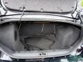 2010 Ebony Black Ford Focus SES Sedan  photo #15