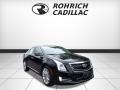 Black Raven - XTS Luxury AWD Sedan Photo No. 7