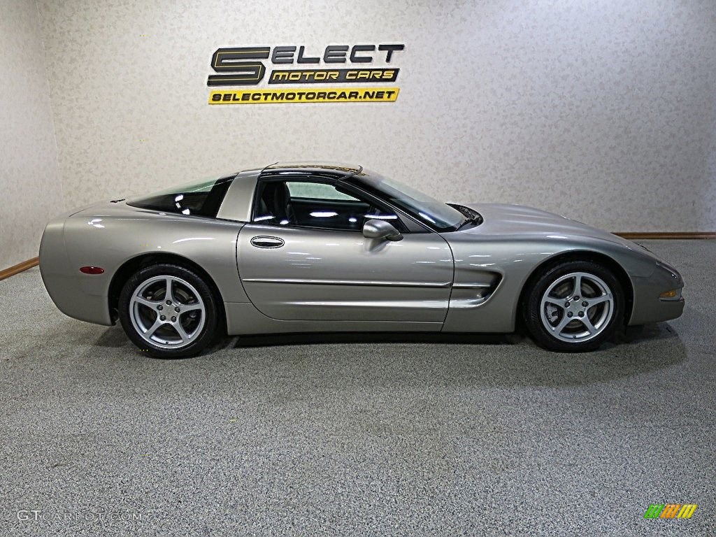 2000 Corvette Coupe - Light Pewter Metallic / Black photo #4