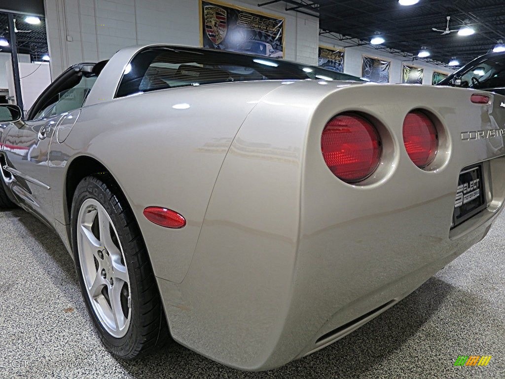 2000 Corvette Coupe - Light Pewter Metallic / Black photo #7