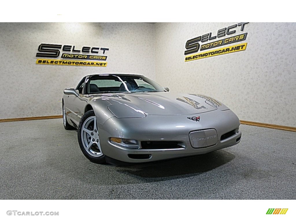 2000 Corvette Coupe - Light Pewter Metallic / Black photo #11