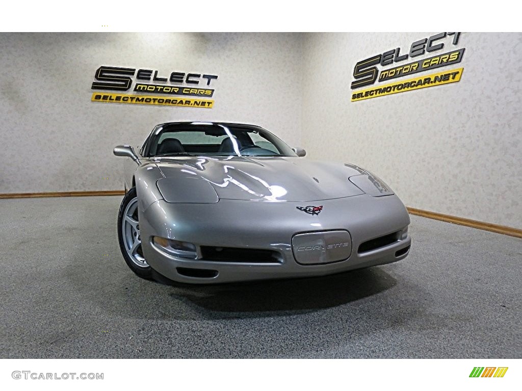 2000 Corvette Coupe - Light Pewter Metallic / Black photo #12