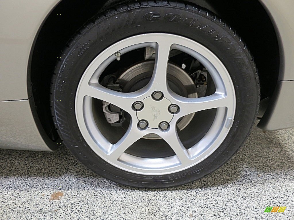 2000 Corvette Coupe - Light Pewter Metallic / Black photo #19