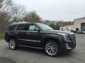 2017 Dark Granite Metallic Cadillac Escalade Luxury 4WD  photo #3