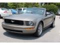 2005 Mineral Grey Metallic Ford Mustang V6 Premium Convertible  photo #13