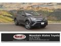 Magnetic Gray Metallic - RAV4 LE Photo No. 1