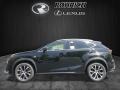 Obsidian - NX 200t F Sport AWD Photo No. 3