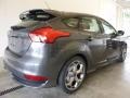 Magnetic - Focus ST Hatch Photo No. 2