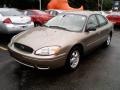 2004 Arizona Beige Metallic Ford Taurus SES Sedan  photo #1