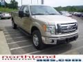 Pueblo Gold Metallic - F150 XLT SuperCab 4x4 Photo No. 5