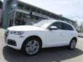 Ibis White - Q5 2.0 TFSI Premium Plus quattro Photo No. 1