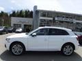 Ibis White - Q5 2.0 TFSI Premium Plus quattro Photo No. 2