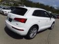 Ibis White - Q5 2.0 TFSI Premium Plus quattro Photo No. 11